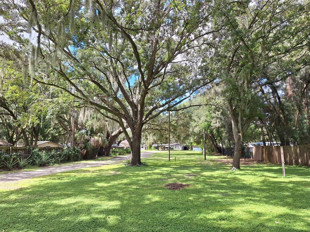 A metal gate blocks a dirt path between two wooden fences under large trees — 1257 LYNCHBURG ROAD, LAKE ALFRED, FL