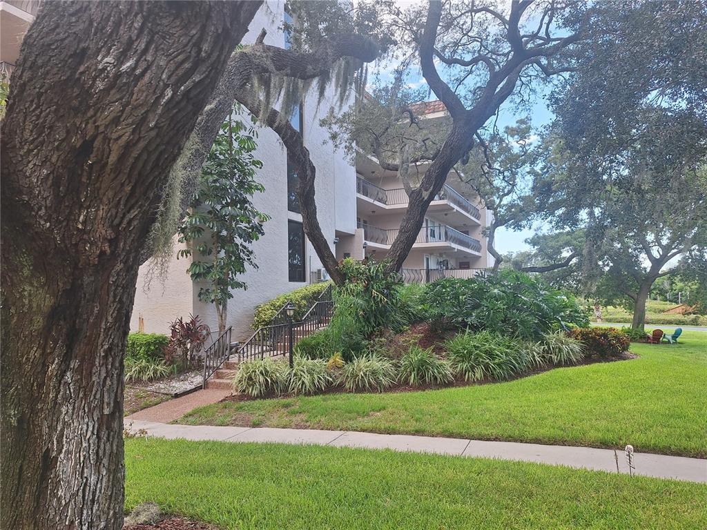 A multi-story residential building with balconies is surrounded by trees and landscaped grounds — 504 S FLORIDA AVENUE UNIT 215, TARPON SPRINGS, FL
