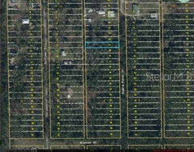 This is an aerial map showing a highlighted rectangular land parcel within a residential grid — 1020 SABLE PALM DRIVE, CHRISTMAS, FL
