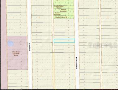 This image is a plat map showing property lot lines and street names — 1020 SABLE PALM DRIVE, CHRISTMAS, FL