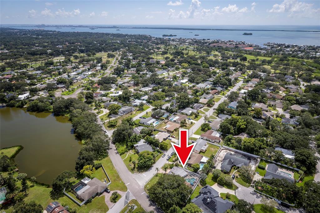 A white single-story house with a garage and palm trees sits on a grassy corner lot — 1294 FAIRWAY DRIVE, DUNEDIN, FL