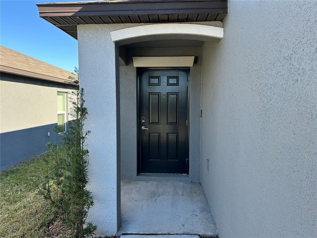 A black front door is recessed under a covered entryway with a concrete porch — 5380 BLUE HORIZON WAY, WIMAUMA, FL