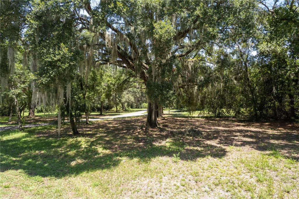 2951 SEMINOLE ROAD