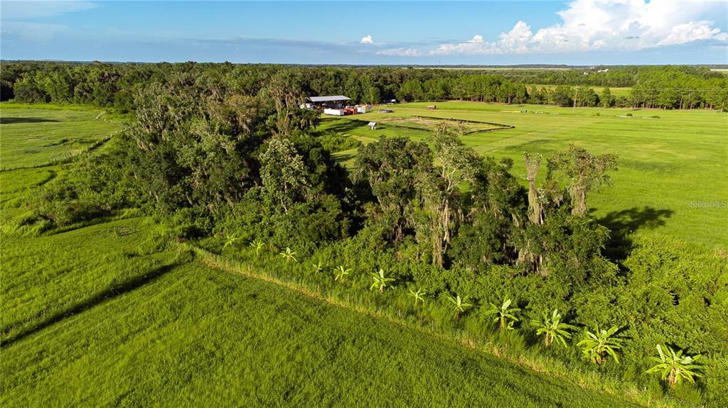 An aerial view shows a grassy field with a row of banana plants and trees — 34400 SR-62, PARRISH, FL