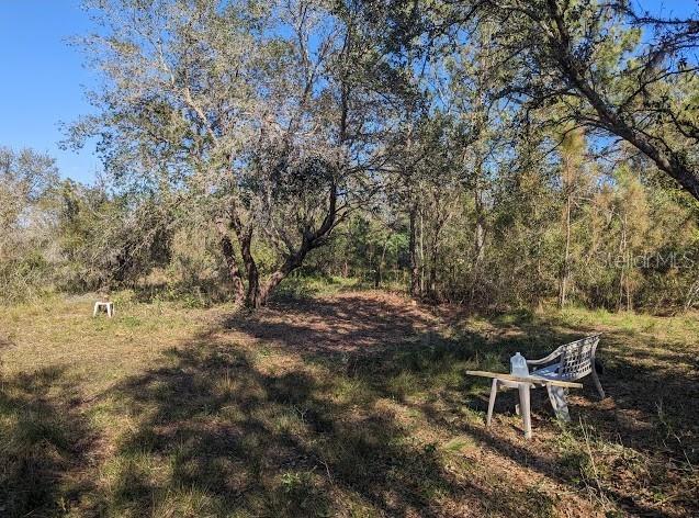 5570 JUEL GILL ROAD, MYAKKA CITY, FL — photo 5 of 8