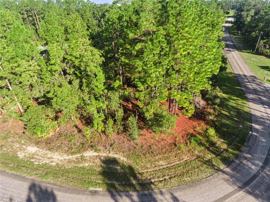 6698 N FOXDALE DRIVE, CITRUS SPRINGS, FL — photo 5 of 20
