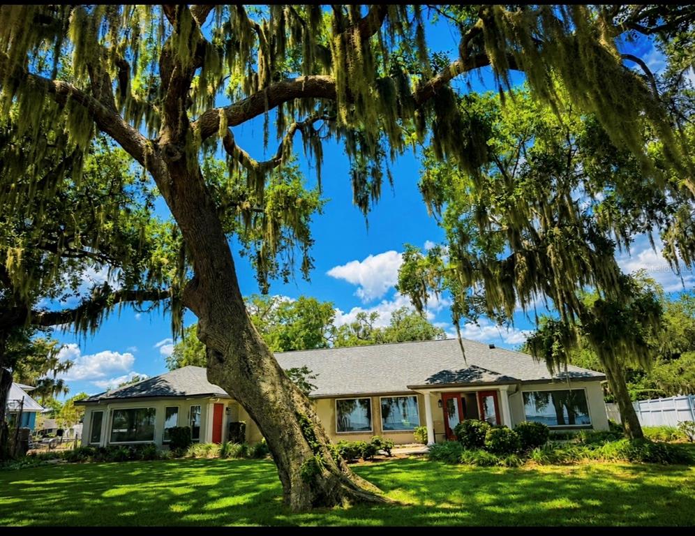 A single-story house with a large oak tree draped in Spanish moss in the front yard — 1341 W LAKESHORE DRIVE, CLERMONT, FL