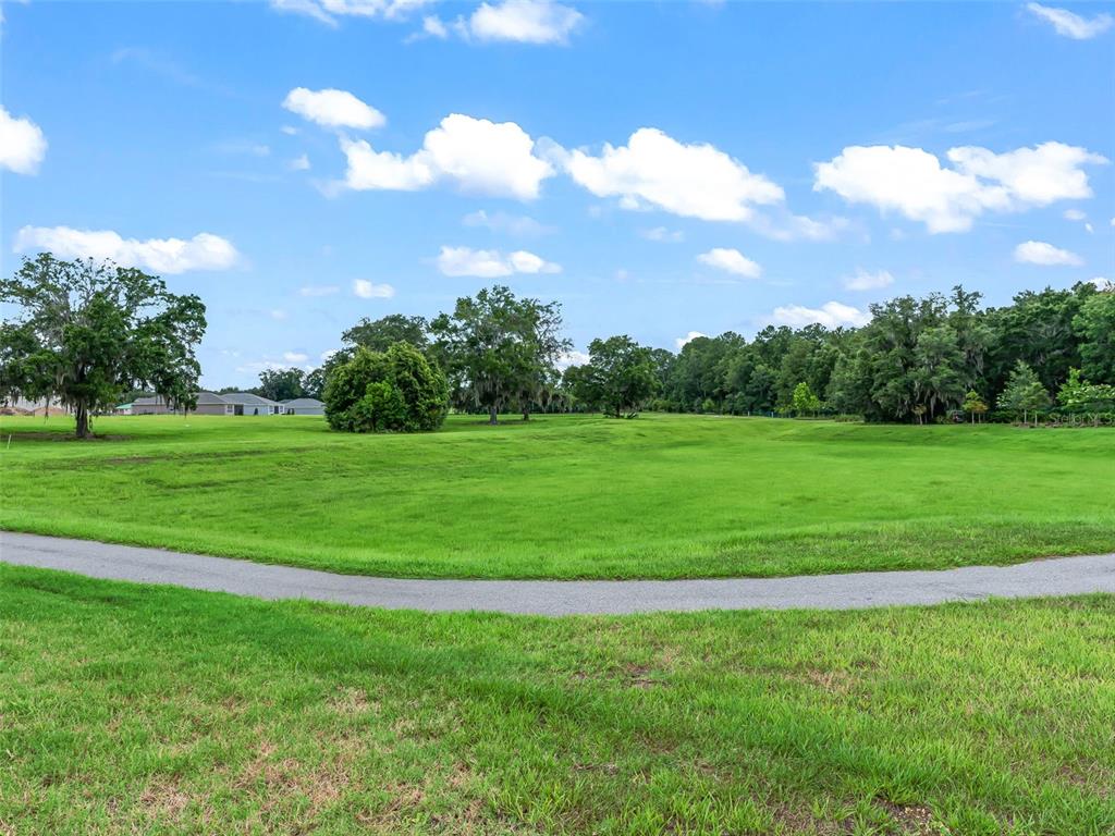 A paved path curves through a large, grassy field with scattered trees under a blue sky — 5478 NW 46TH LANE RD, OCALA, FL