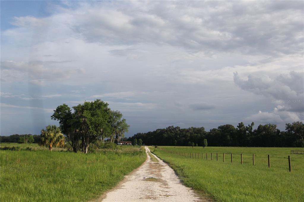 An aerial view shows a rectangular plot of land partially covered by trees and vegetation — TBD CR 526, SUMTERVILLE, FL