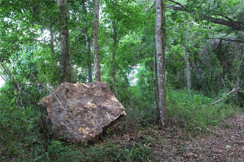 An aerial view shows a rectangular plot of land partially covered by trees and vegetation — TBD CR 526, SUMTERVILLE, FL