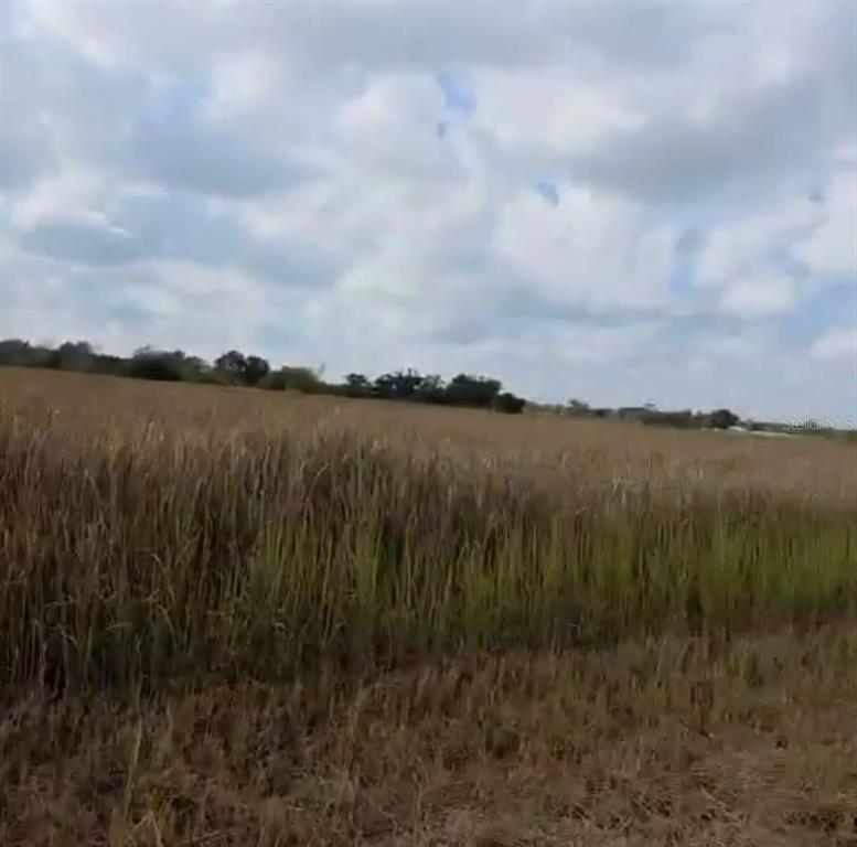 A wide, grassy field stretches toward a distant tree line under a cloudy sky — METHENY RD, PARCEL B, WAUCHULA, FL