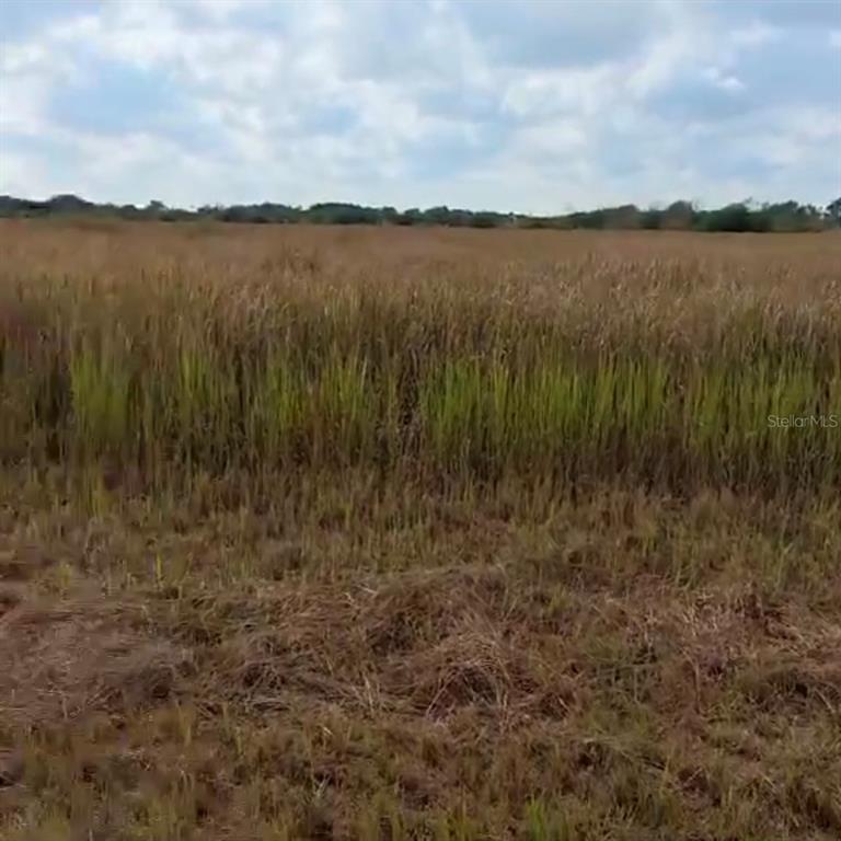 A wide, open field of tall, dry grass under a cloudy sky — METHENY RD, PARCEL B, WAUCHULA, FL