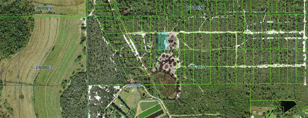 This is a satellite map view showing a highlighted rectangular land parcel among wooded lots — N/A, LAKE WALES, FL