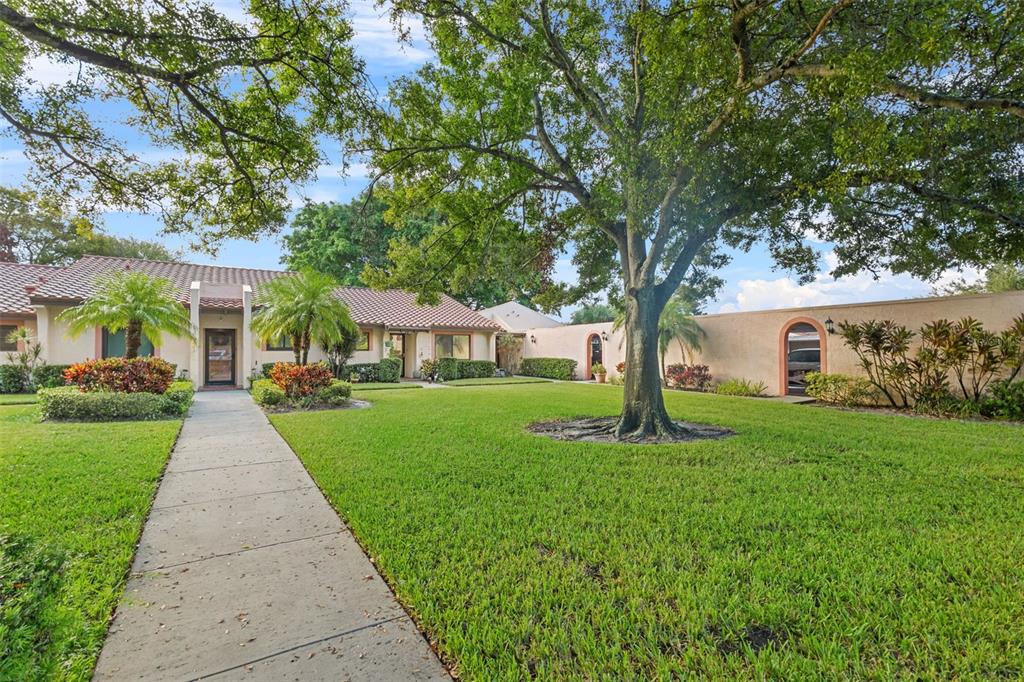 A concrete walkway leads to the entrance of a single-story house with a large tree — 9669 86TH AVENUE UNIT 9669, SEMINOLE, FL