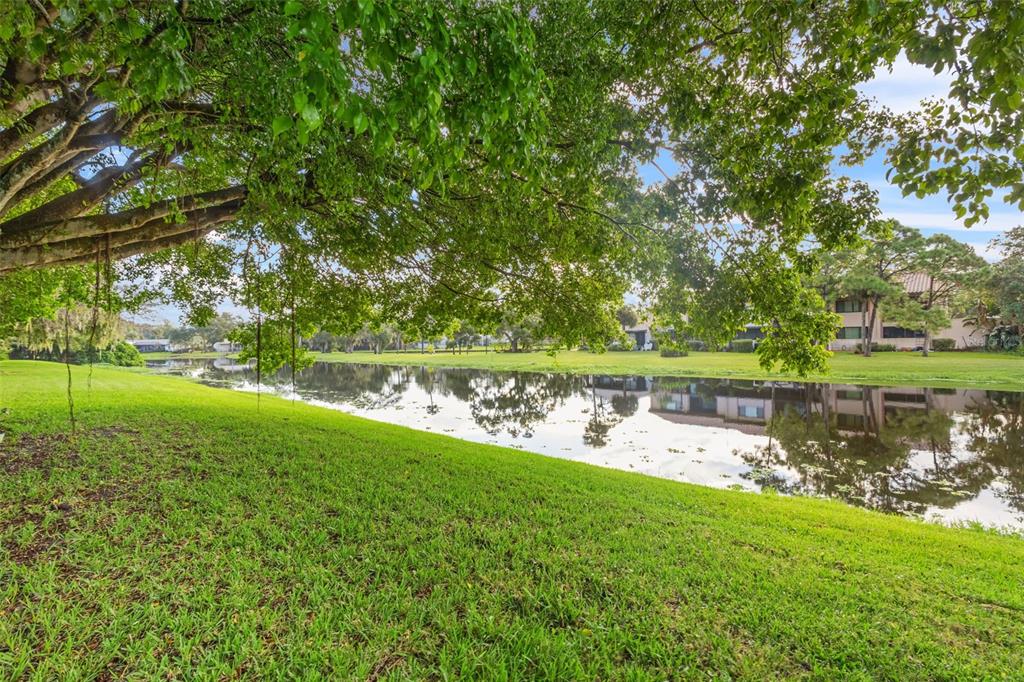 A grassy lawn leads to a calm pond reflecting trees and nearby residential buildings — 9669 86TH AVENUE UNIT 9669, SEMINOLE, FL