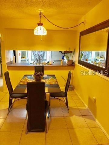 5052 TERRACE CLUB LANE UNIT 101, TAMPA, FL — photo 4 of 15