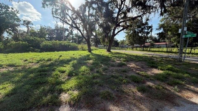 A grassy, vacant lot features several large, moss-draped trees under a bright, partly cloudy sky — 9323 RIPLEY ROAD UNIT B, THONOTOSASSA, FL