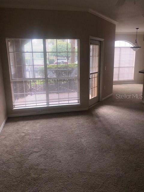 A carpeted living area features a large window with blinds and a glass-paneled exterior door — 10961 BURNT MILL ROAD UNIT 1518, JACKSONVILLE, FL
