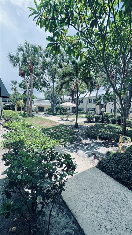 A paved walkway leads through a landscaped courtyard with palm trees and apartment buildings — 4315 AEGEAN DRIVE UNIT 148C, TAMPA, FL