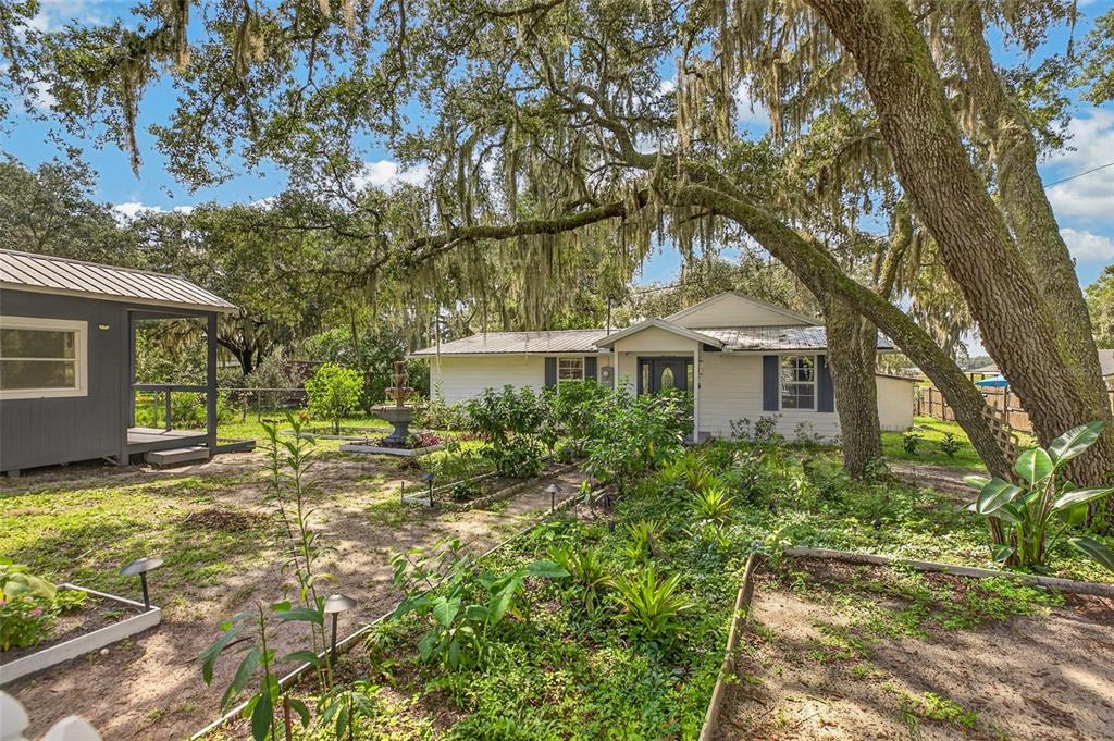 A white house with a metal roof sits behind a garden under large oak trees — 5927 WHITE SANDS ROAD, KEYSTONE HEIGHTS, FL