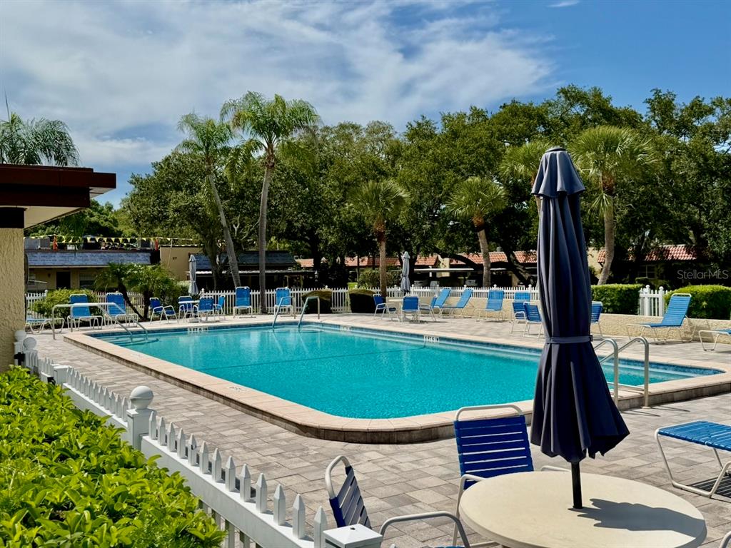 A rectangular swimming pool with blue lounge chairs and a patio area under palm trees — 1701 PINEHURST ROAD UNIT 2F, DUNEDIN, FL