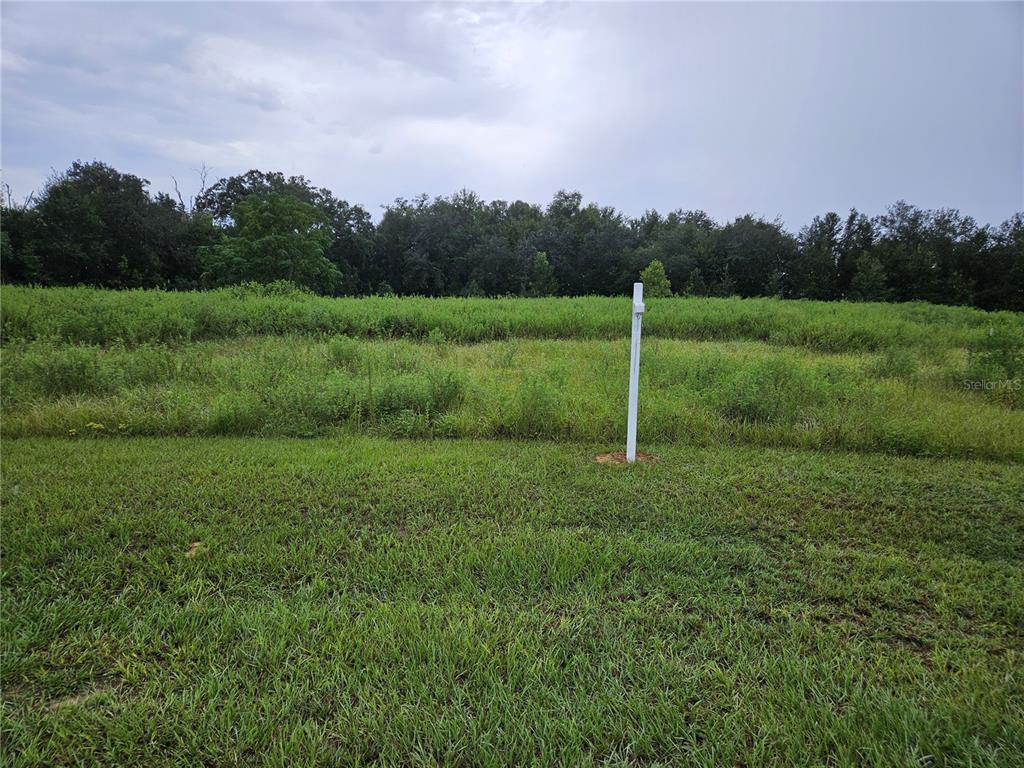 A grassy, vacant lot features a white post standing in the middle of the field — 8801 VALERIE COURT, ZEPHYRHILLS, FL