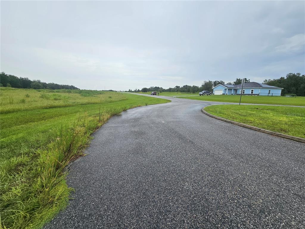 A paved road curves past a grassy field toward a blue house under a cloudy sky — 8801 VALERIE COURT, ZEPHYRHILLS, FL