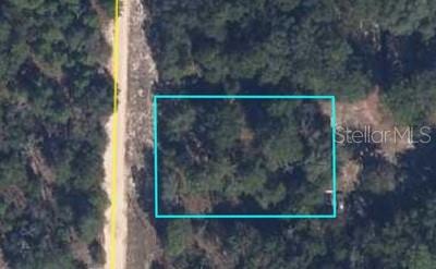 An aerial map view shows a rectangular plot of land outlined in blue next to a road — 00 LEHIGH DRIVE, KEYSTONE HEIGHTS, FL