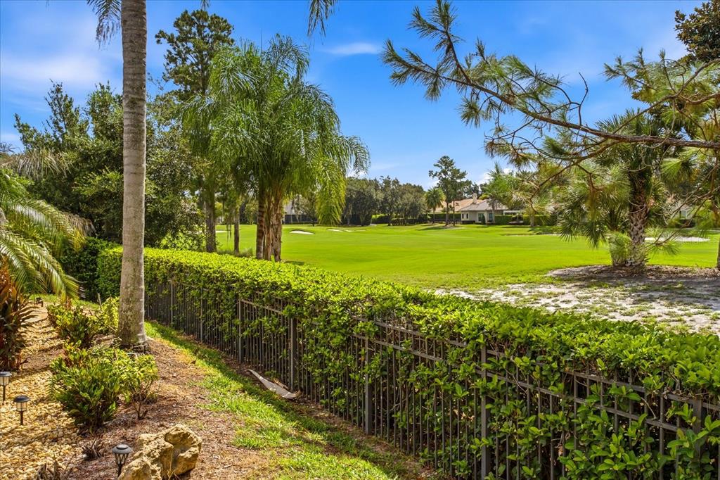 A metal fence borders a manicured lawn and golf course with palm trees under blue skies — 8241 TIBET BUTLER DRIVE, WINDERMERE, FL