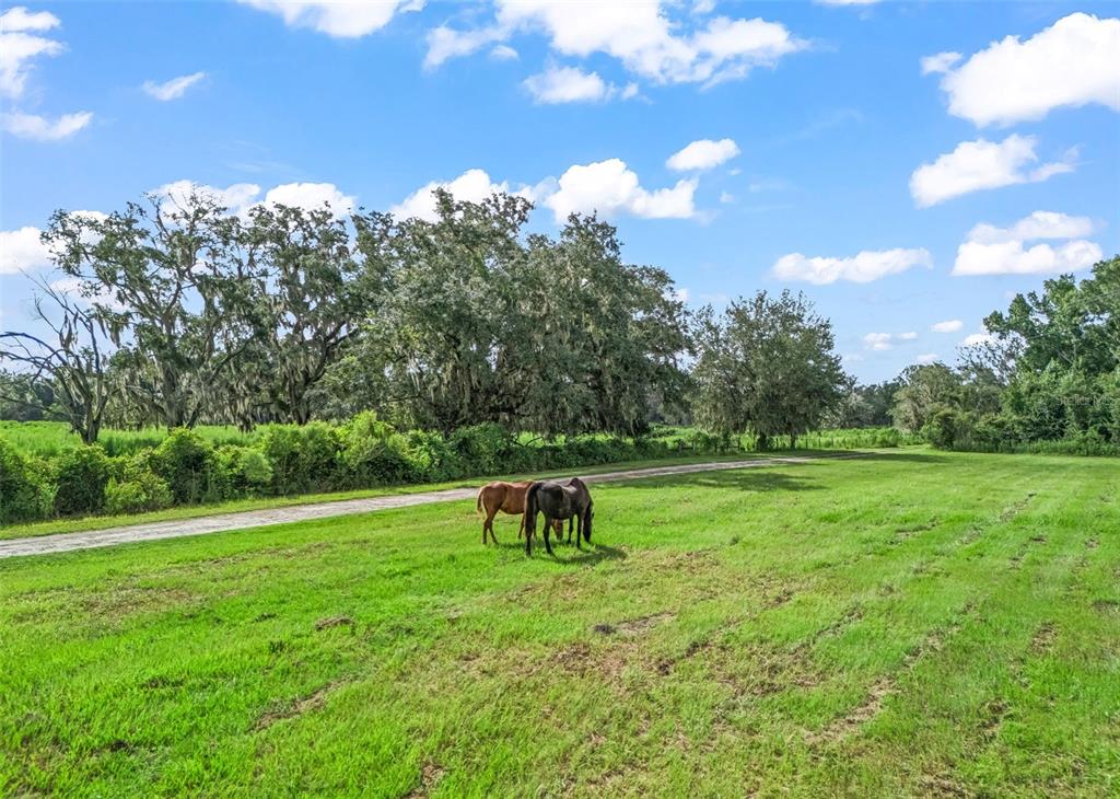 2239 SE 112TH AVENUE, WEBSTER, FL — photo 4 of 21