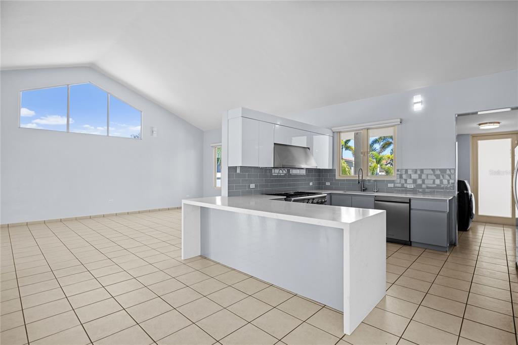 272 CAMINO  DE GUAYACAN, DORADO, PR — photo 2 of 22