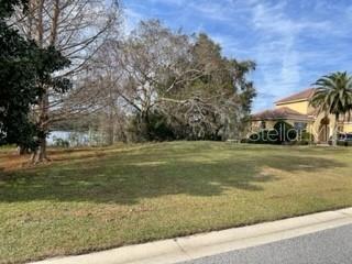 A grassy, vacant lot sits next to a house with a palm tree — 413 W BLUE WATER EDGE DRIVE, EUSTIS, FL