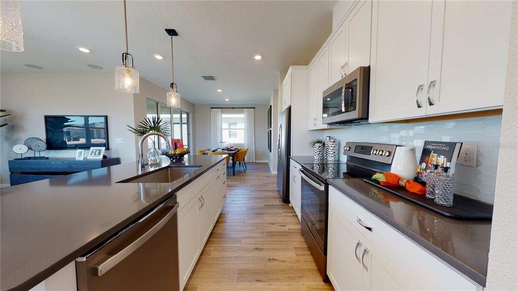 A modern kitchen features white cabinets, dark countertops, stainless steel appliances, and wood-look tile flooring — 5311 SPRING MAIDEN CIRCLE, APOLLO BEACH, FL