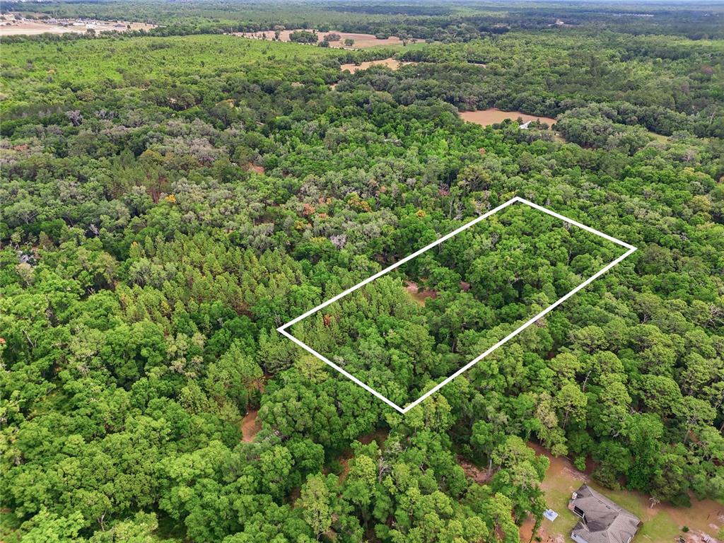 A red wooden house with a deck sits in a wooded area — 8009 SW 131ST TERRACE, ARCHER, FL