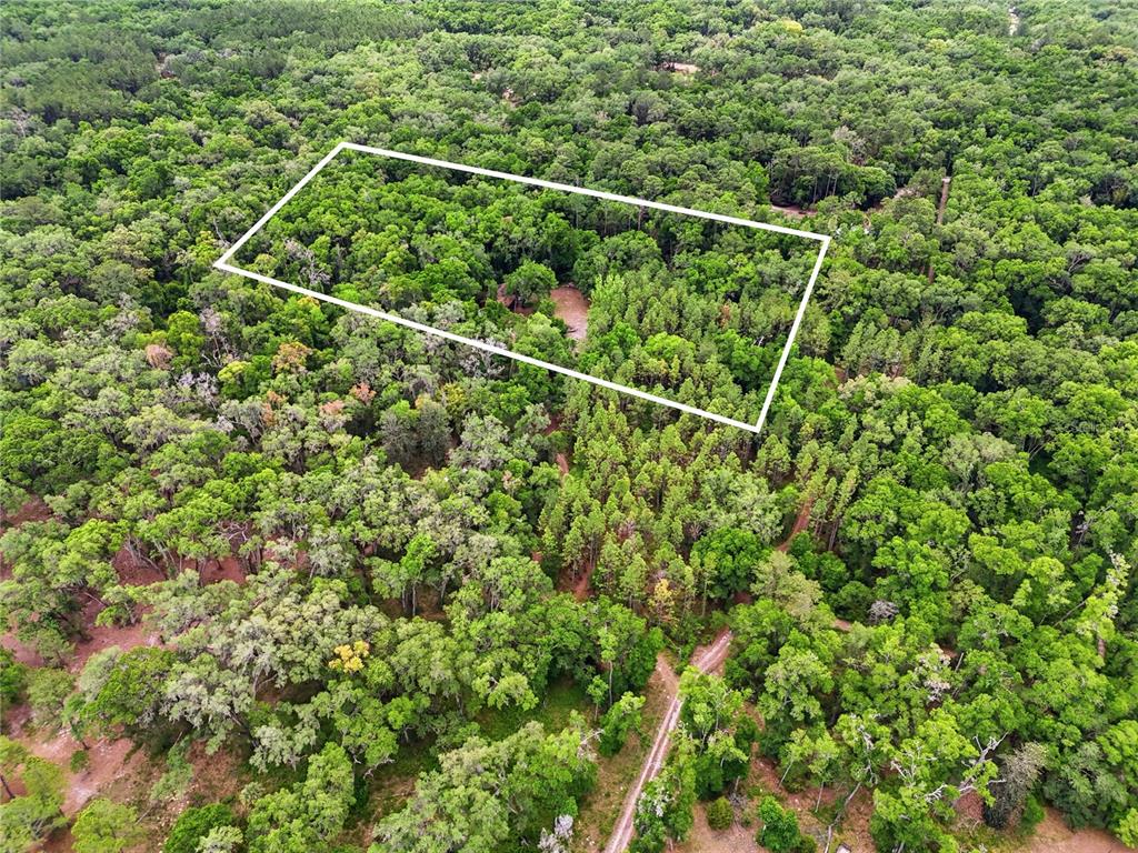 An aerial view shows a rectangular plot of land outlined in white amidst dense forest — 8009 SW 131ST TERRACE, ARCHER, FL
