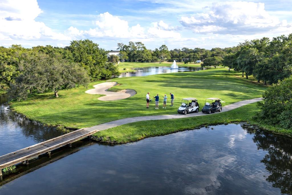 An aerial view shows a golf course with a pond, bridge, and golf carts — 8032 PINE HOLLOW DRIVE, MOUNT DORA, FL