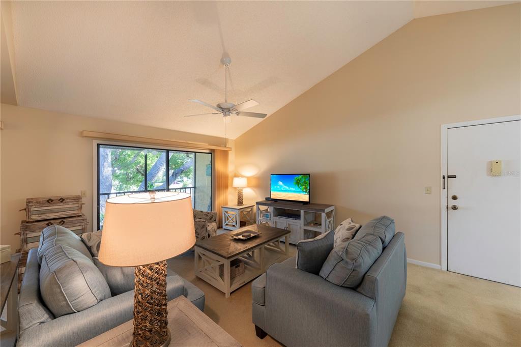 A living room features a vaulted ceiling, beige carpet, two gray sofas, and a sliding door — 646 BIRD BAY DRIVE E UNIT 207, VENICE, FL