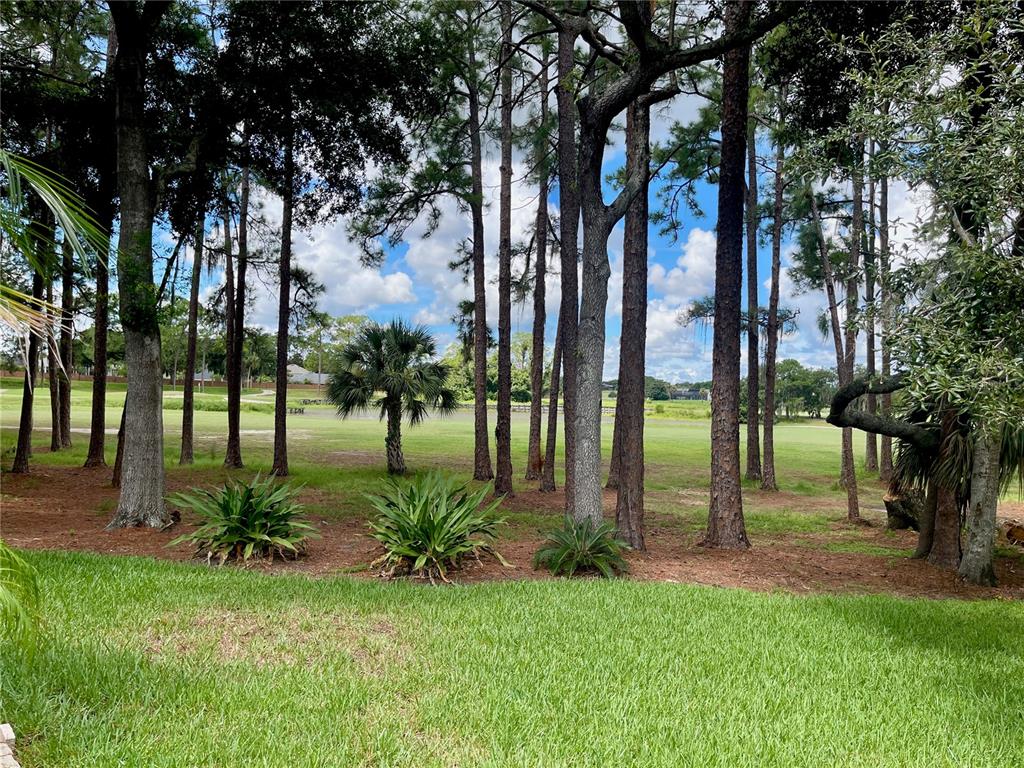 635 CHATAS COURT, LAKE MARY, FL — photo 5 of 30
