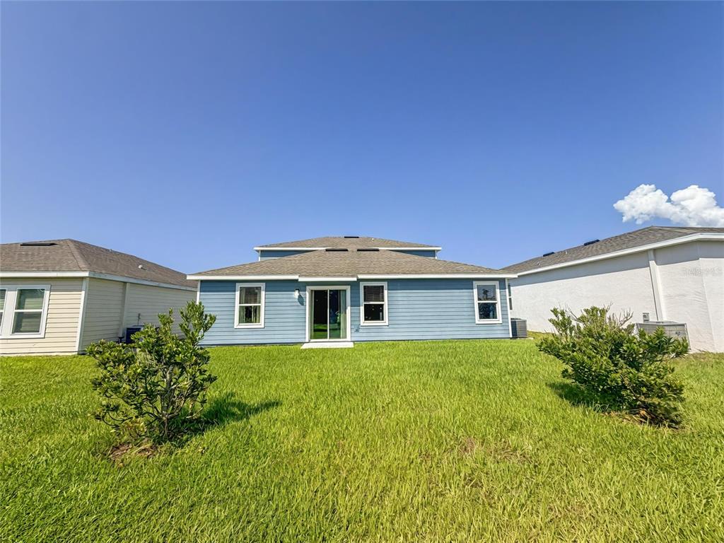 The rear exterior of a blue, single-story house with a lawn and two small bushes — 2009 MYRTLE PINE STREET, KISSIMMEE, FL