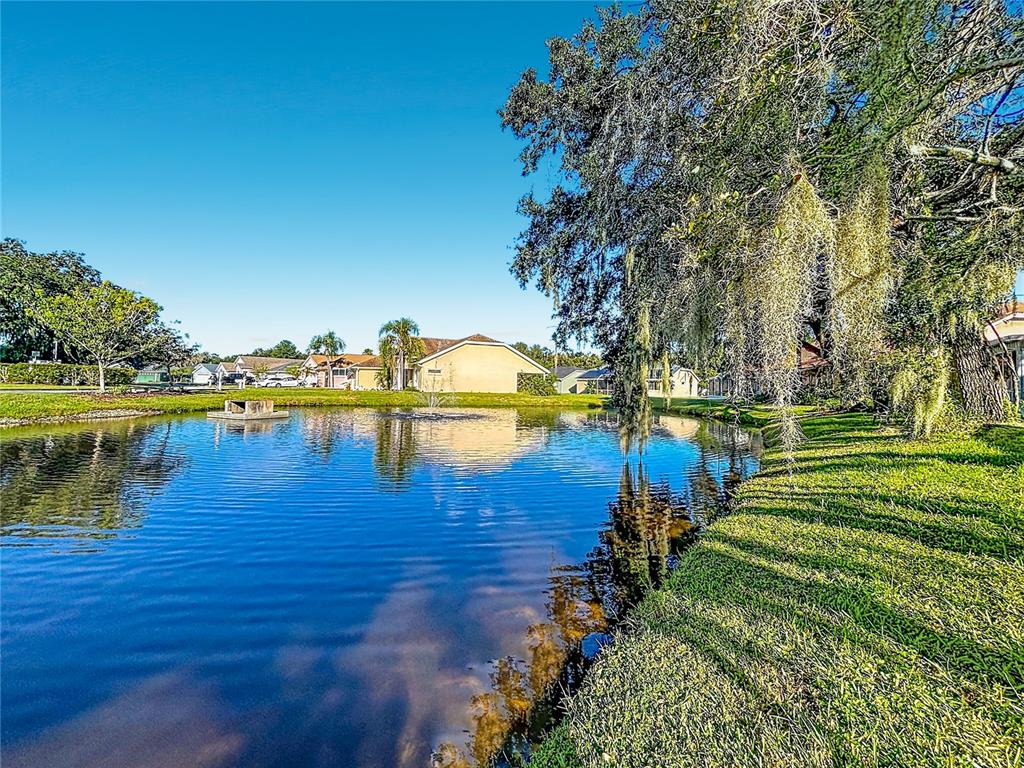 4336 WINDING OAKS CIRCLE, MULBERRY, FL — photo 2 of 33