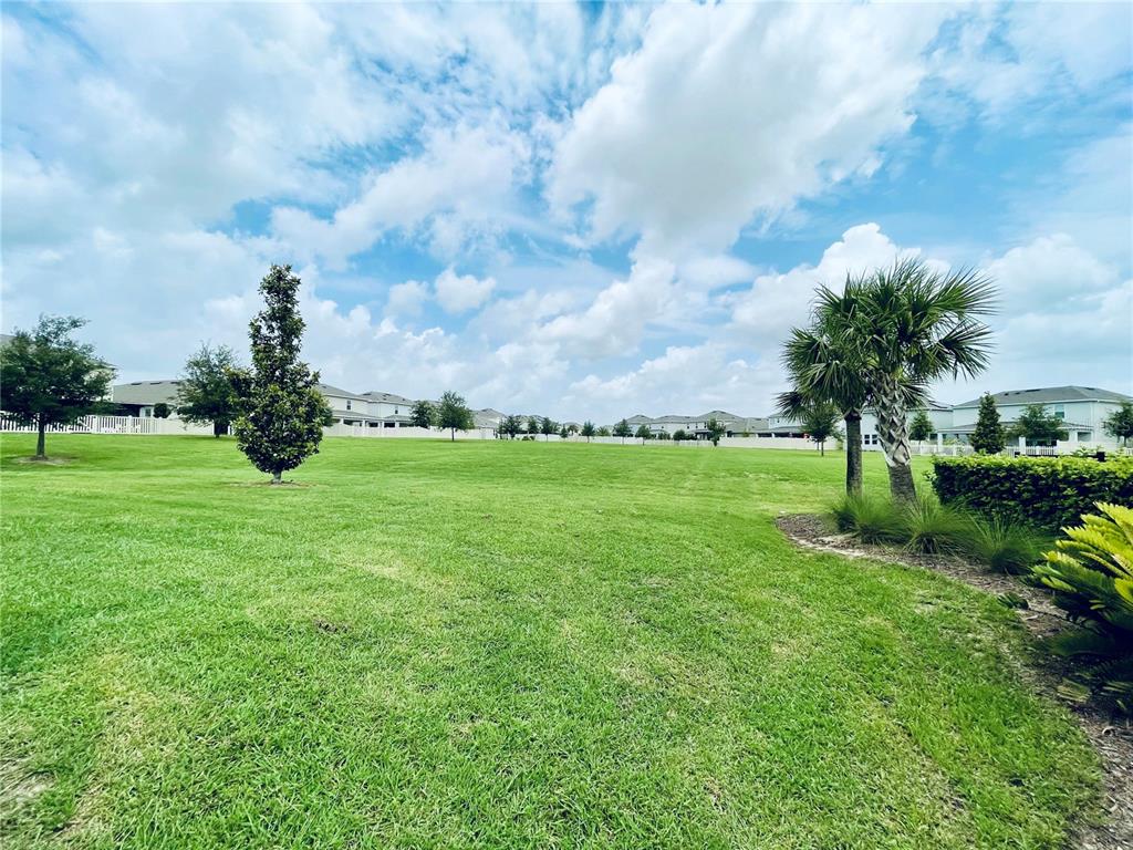 A wide, grassy lawn features a single tree and a palm tree under a cloudy sky — 436 LEMONGRASS ROAD, MINNEOLA, FL