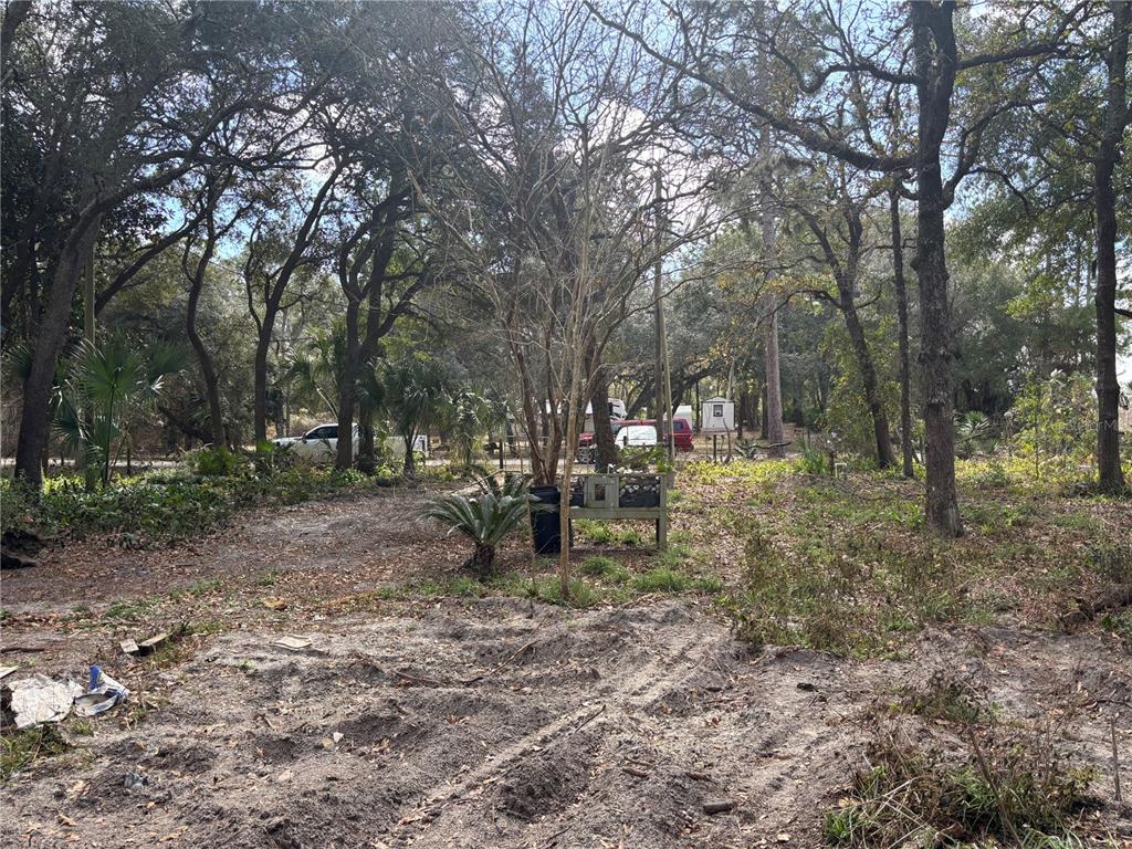 A wooded, sandy lot features scattered trees, a small wooden bench, and parked vehicles — 31 SE 190TH AVENUE, OLD TOWN, FL