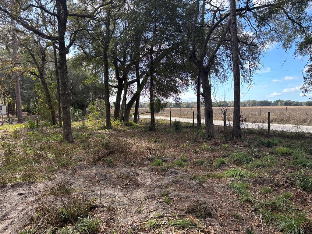 A wooded lot with a wire fence bordering an open field under a blue sky — 31 SE 190TH AVENUE, OLD TOWN, FL