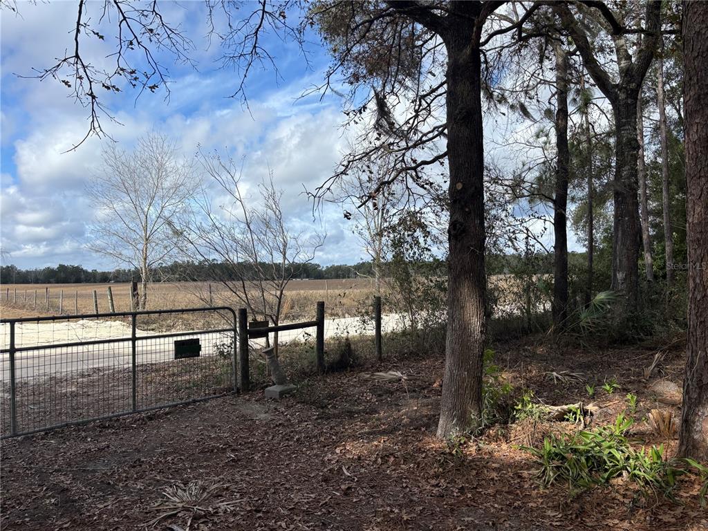 A metal gate opens to a dirt road bordering a large, open field with trees — 31 SE 190TH AVENUE, OLD TOWN, FL