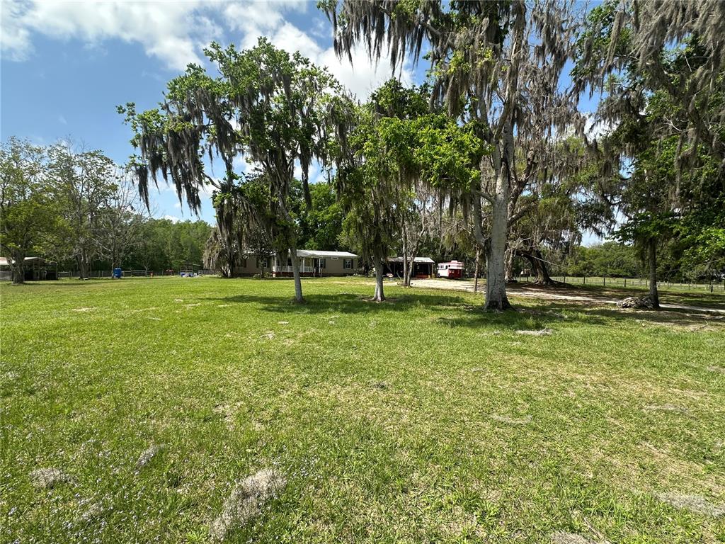 A grassy field leads to a house shaded by large trees with Spanish moss — 16242 NW 130TH STREET, WILLISTON, FL