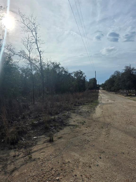 A dirt road runs alongside a wooded lot under a bright, partly cloudy sky — NE 62 PLACE, WILLISTON, FL
