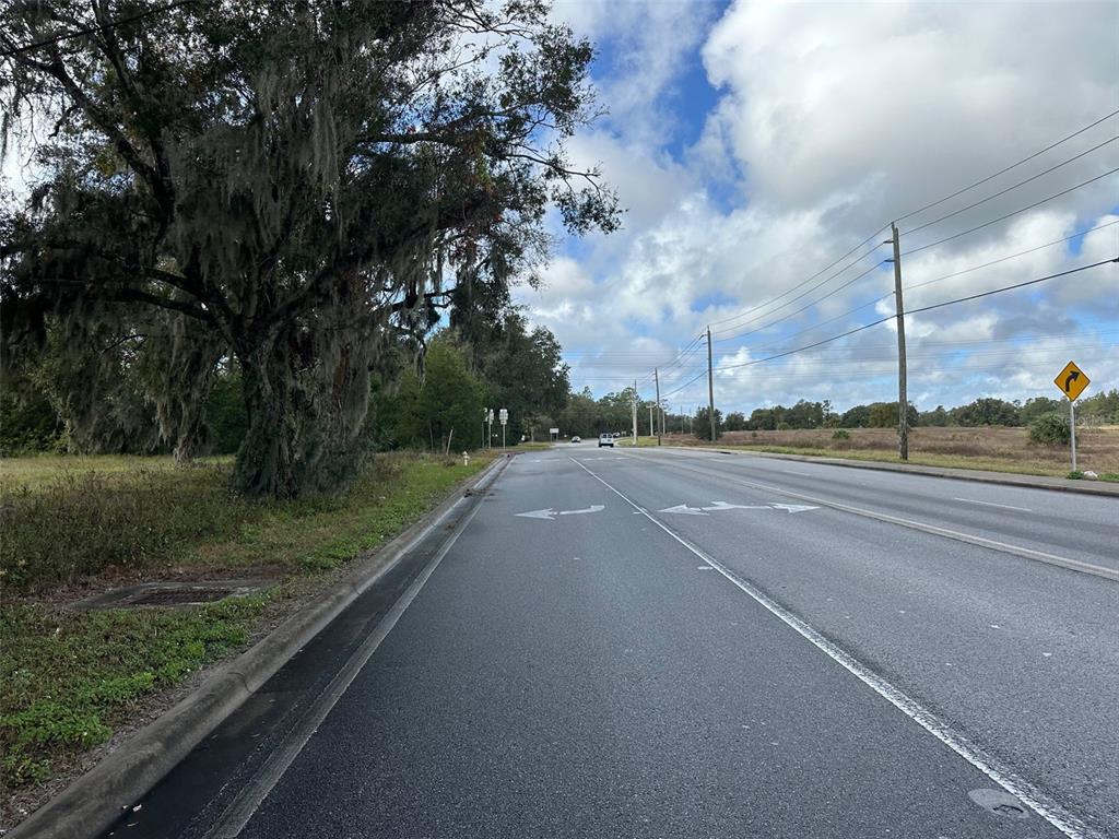A paved road with lane markings and a large tree on the left side — 0 DOYLE ROAD, OSTEEN, FL