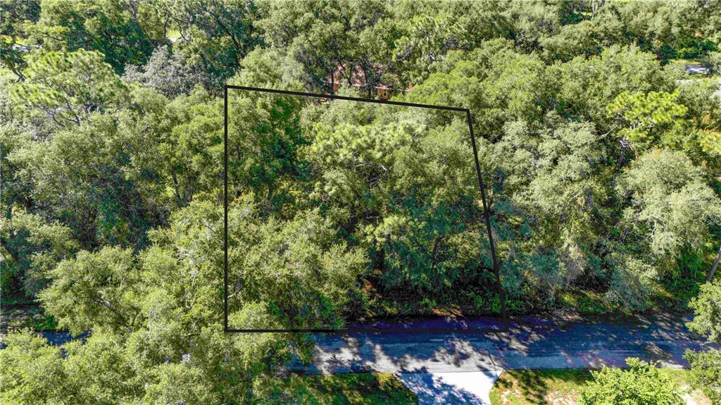 00 DIPLOMAT STREET, DADE CITY, FL — photo 3 of 5