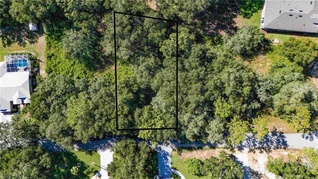 00 DIPLOMAT STREET, DADE CITY, FL — photo 5 of 5