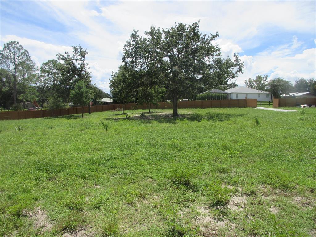16061 SE 17TH STREET, OCKLAWAHA, FL — photo 3 of 30